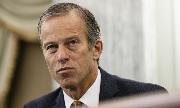 sen john thune 2 700x420 M2X8NU