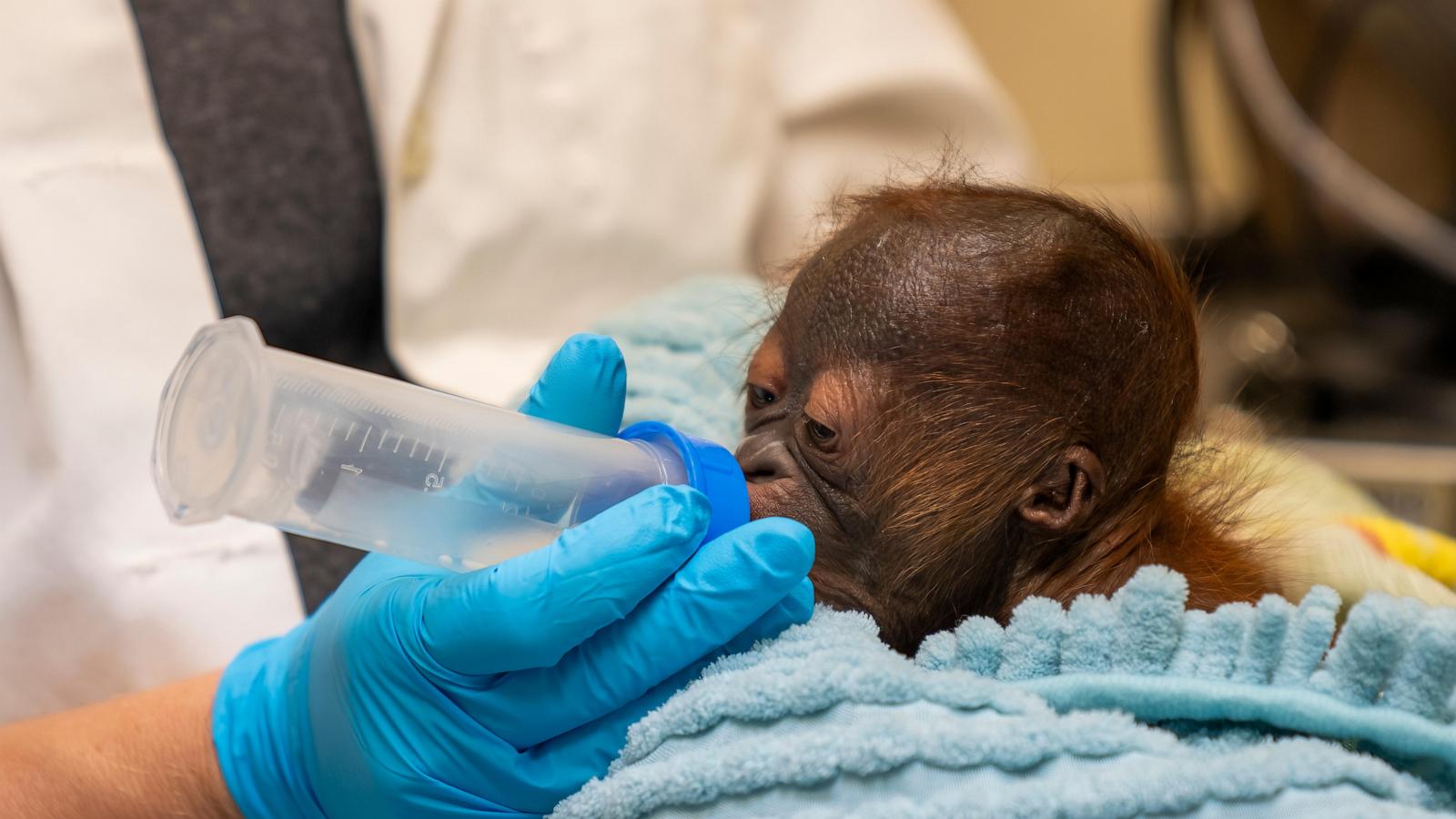 wirestory 3b45ca5e29b729e693f199737a5494f1 16x9 1600 gfORtp