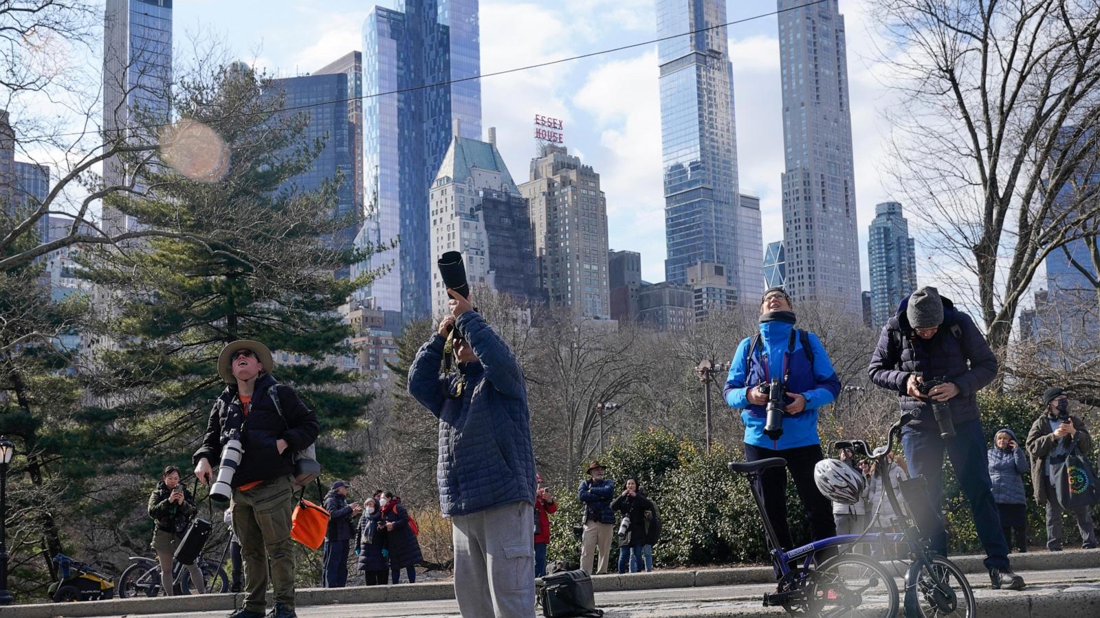 wirestory 59174ea313cce47194a8dbf20912ced4 16x9 1600 1s2pAa