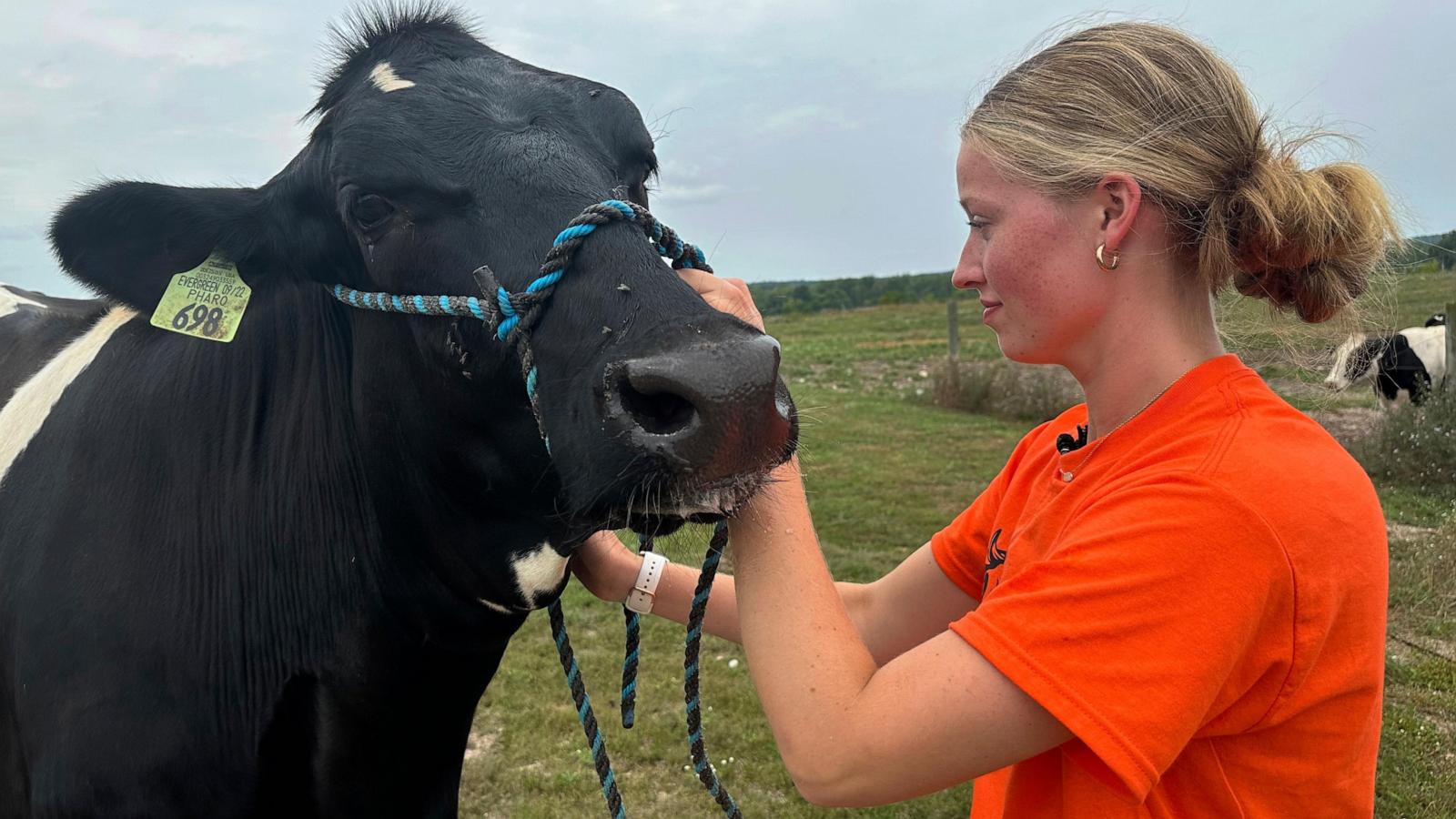 wirestory 88487eb492832f7a3b58e40304688366 16x9 1600 Cim0kz