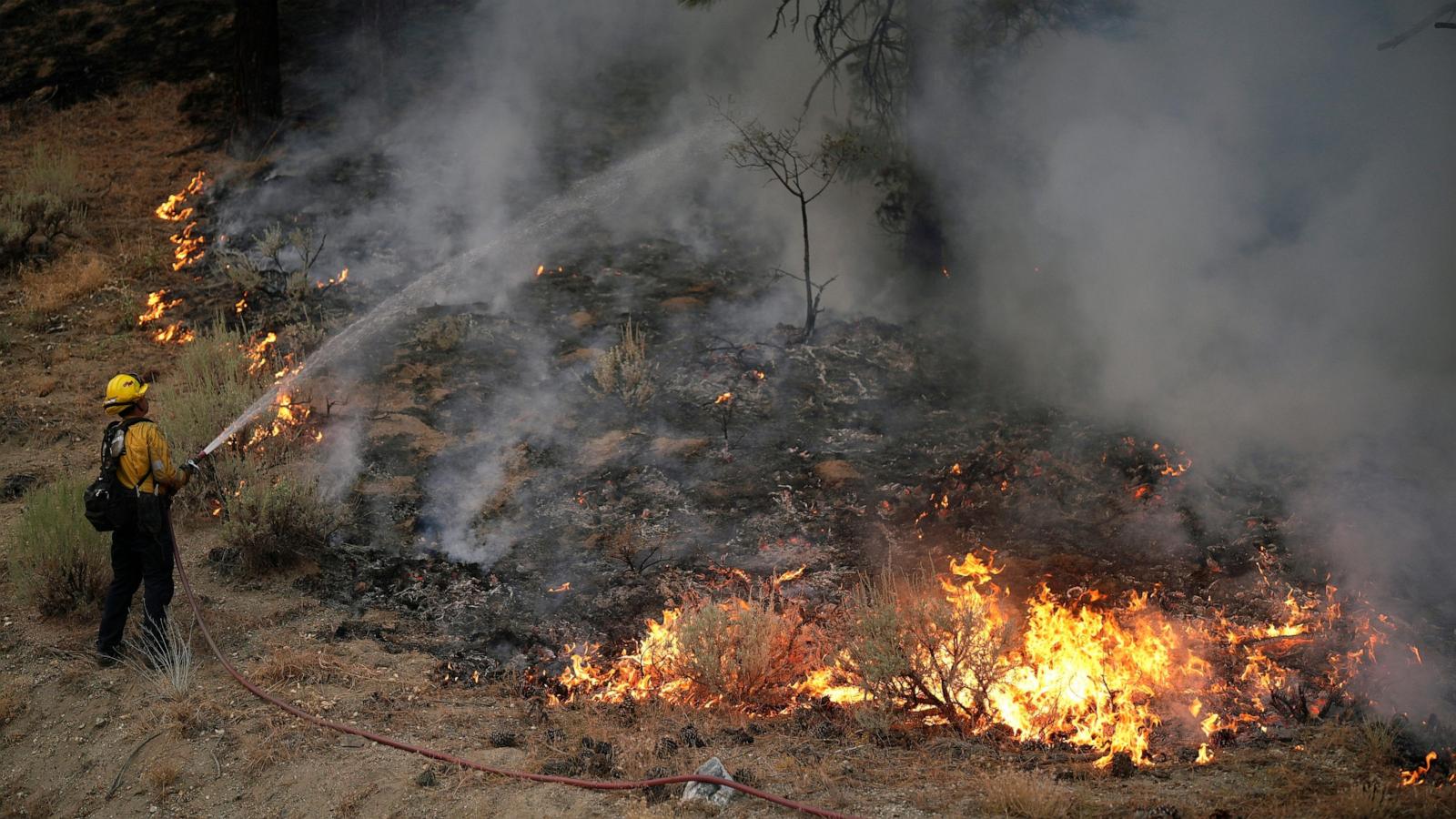 wirestory 7ef3b5338367fb336f57aeaf974ad3b0 16x9 1600