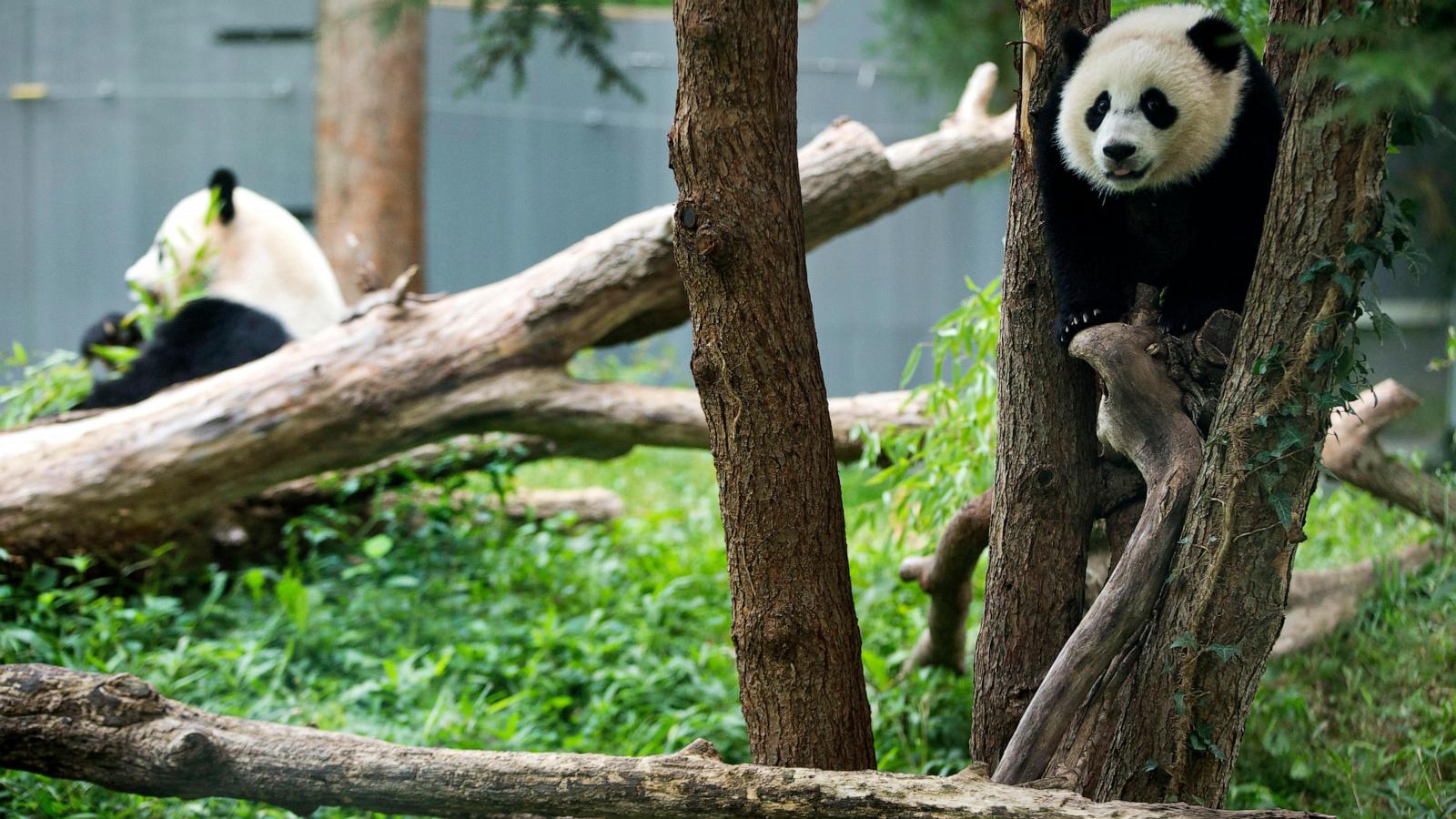 wirestory 8537ae9f9be4134c795fc5f007c02064 16x9 1600 prChtJ