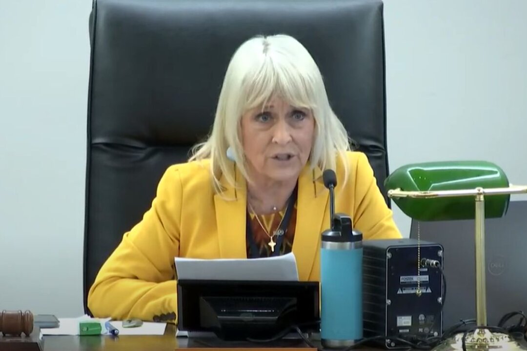 id5763803 2Commissioner Diane Ellis Marsegliau22uuu 1080x720 DCthys