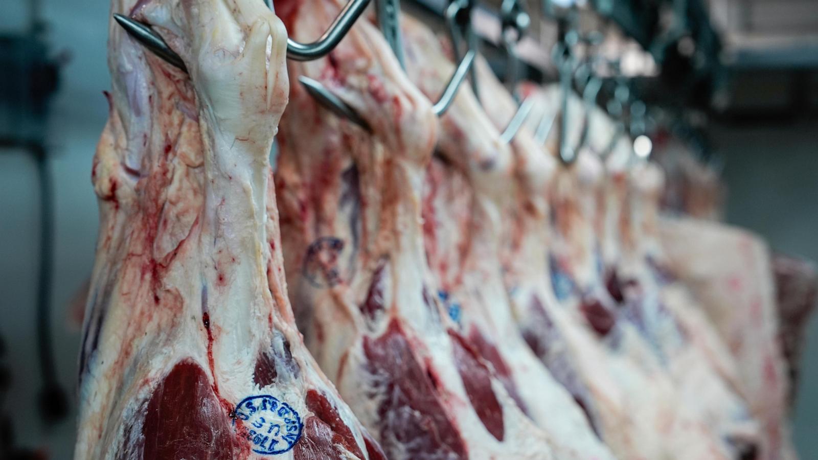 wirestory 7da1f619b8875f2cfd1bd99e98e5a13b 16x9 1600 wkj4qJ